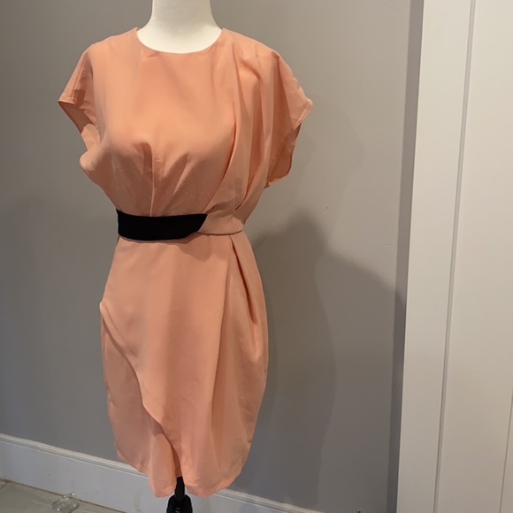 ASOS Pink Dress with Black waistband - Picture 2 of 6